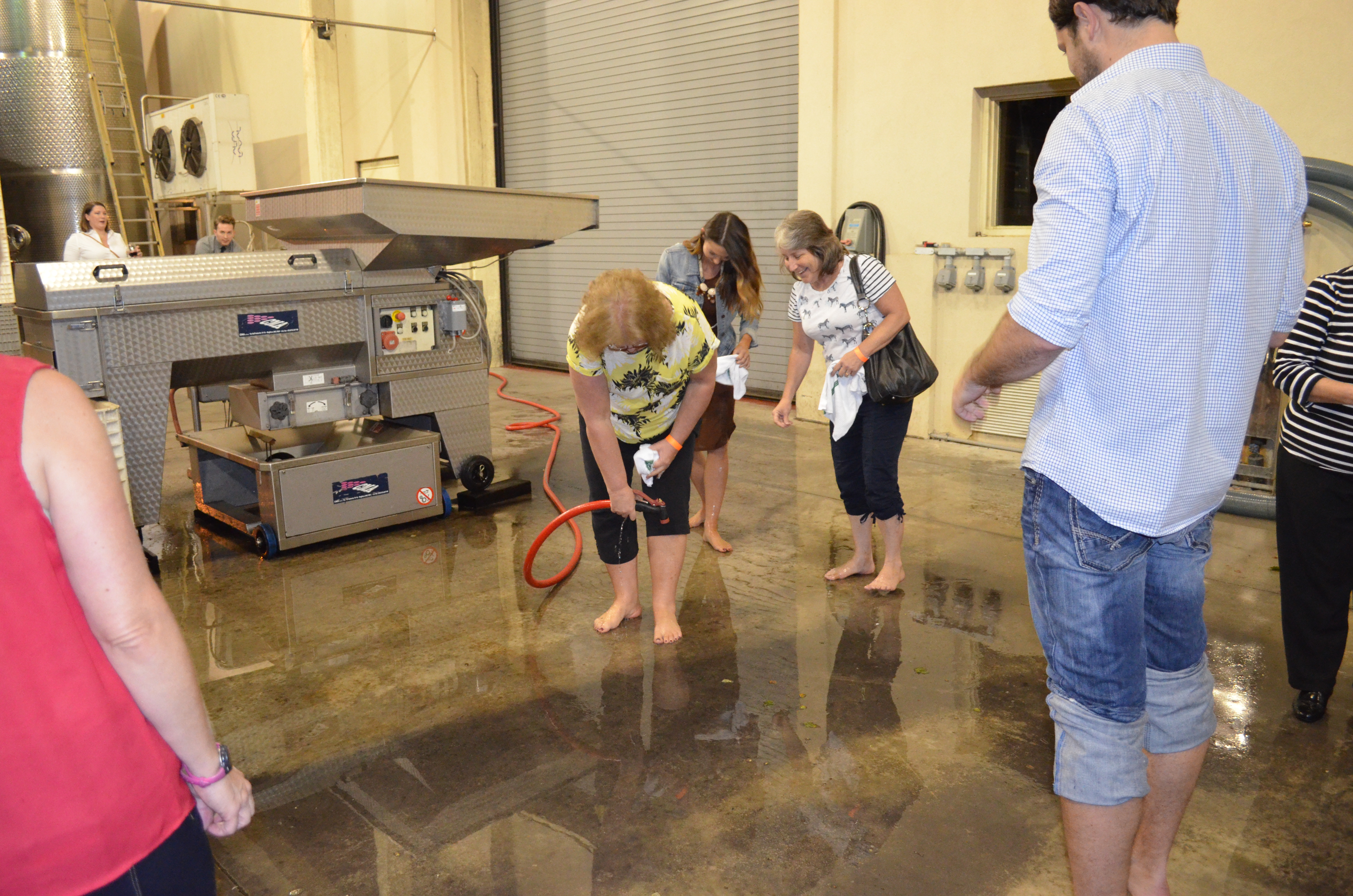 ./2015/23 - Grape Stomp/DSC_0647.JPG